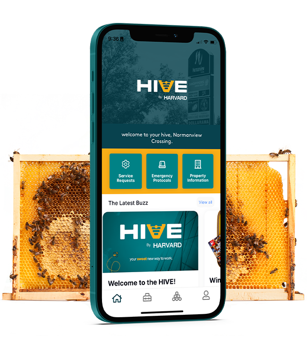 iPhone with a bee hive behind it with the Hive app on the screen